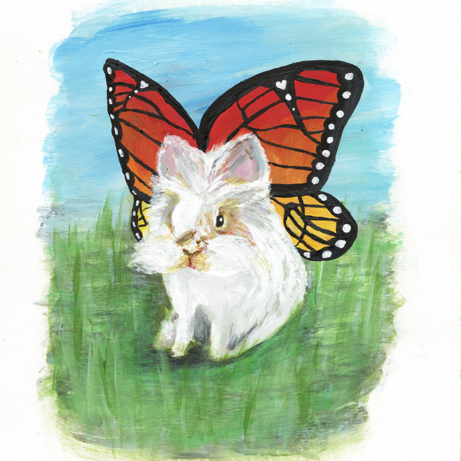 A beautiful pet portrait of a bunny with monarch butterfly wings.