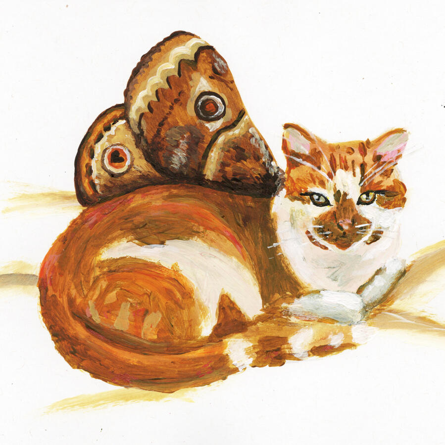 A sweet little ginger and white cat is painted with burnt orange and brown moth wings.