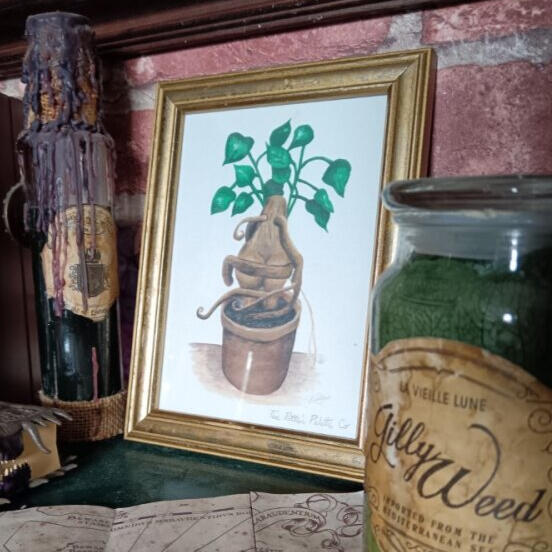 A cheeky mandrake painting with a round bum is framed next to magical potions bottle.