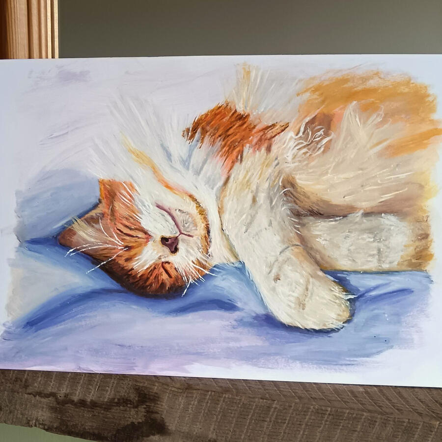 A detailed portrait of a fluffy ginger and while sleeping cat.